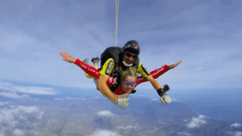GIF by VTM.be