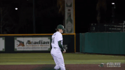 baseball wave GIF by GreenWave