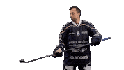 Anthony Angers Sticker by Les Ducs d'Angers