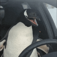 Instagram Driving GIF
