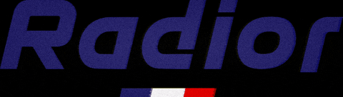 BenRadiorbike giphygifmaker ebike madeinfrance vae GIF
