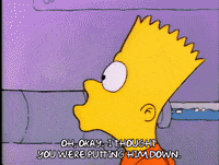 Season 1 Episode 3 GIF by The Simpsons