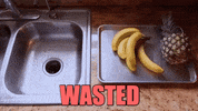 TheGoodRanchers  GIF