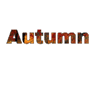 Falling Leaves Fall Sticker by Dr. Donna Thomas Rodgers