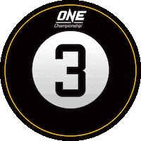 Mixed Martial Arts Knockout Sticker by ONE Championship