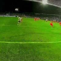 Colo Colo Albo GIF
