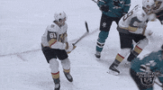 happy ice hockey GIF by NHL