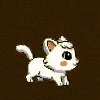 Cat Coin GIF