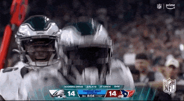 Philadelphia Eagles Football GIF by NFL