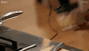 Australia Shake GIF by MasterChefAU
