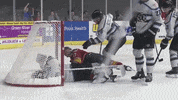 QCStorm storm quad city quad city storm qcstorm GIF