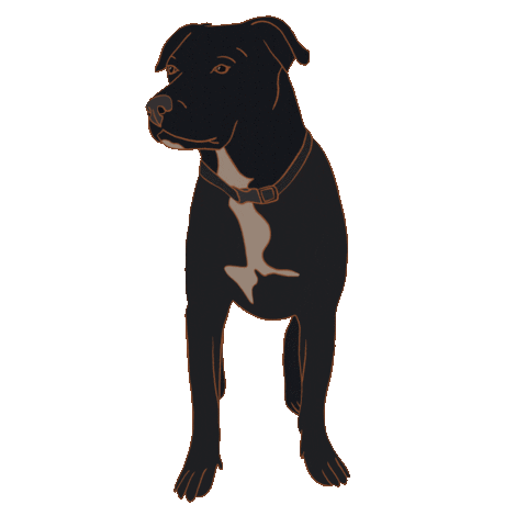 Dog Sticker