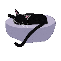 Tired Black Cat Sticker