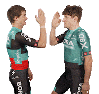 Pro Cycling Team Sticker by BORA-hansgrohe