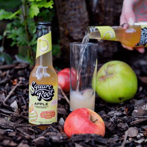 Apple Drinks GIF by Square Root Soda