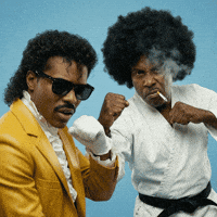 Mean Martial Arts GIF by Jukebox Saints