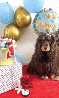 Tillykke Fødselsdag GIF