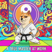 Kung Fu Training GIF by Doge Pound