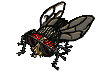 Sunglass Sticker by Black Flys
