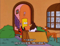 bart simpson episode 20 GIF