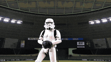 baseball playing GIF