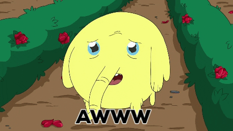 Cartoon Network Cn GIF by CNLA