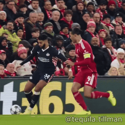 Virgil Van Dijk GIF