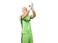 Bayer 04 Clapping GIF by Bayer 04 Leverkusen