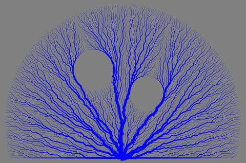 simulation wolfram language GIF by Wolfram Research