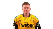 Saipa Sticker by WhiteWhale