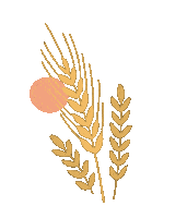 Paprikaleon Sticker
