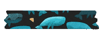 Blue Whale Sticker Sticker by Tostoini