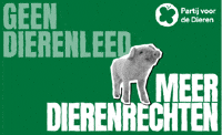 Pvdd Varken GIF by Partij voor de Dieren