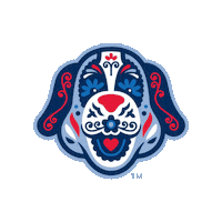 salemredsox baseball copa redsox salemredsox Sticker