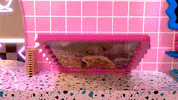 Swag GIF by L.OL. Surprise!