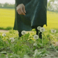 Drama Love GIF by Eccho Rights