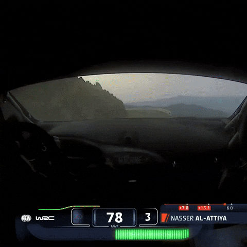 Driving Ford GIF by FIA World Rally Championship