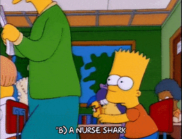 Season 3 School GIF by The Simpsons