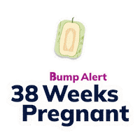 Pregnancy Expecting Sticker by The Bump