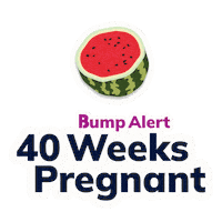 Pregnancy Expecting Sticker by The Bump