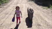 GIF by Demic