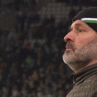Celebration Goal GIF by AS Saint-Étienne