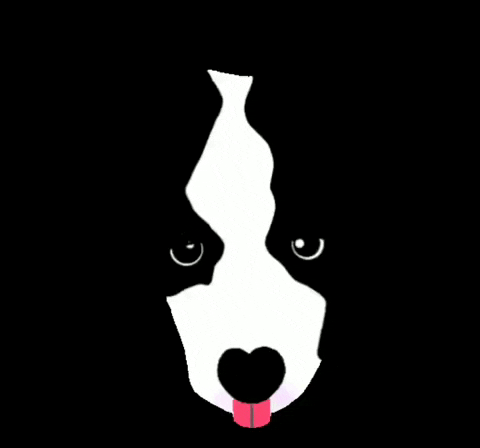 sokku  GIF