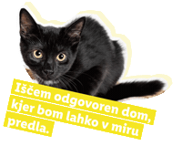 Koraki Za Tacke Sticker by Lidl Slovenija