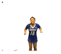College Sports Dance Sticker by Delaware Blue Hens