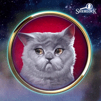 Sad Cat GIF by G5 games