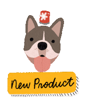 New Product Sticker