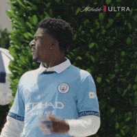 What GIF by MichelobULTRA