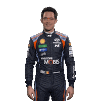 Neuville Sticker by Hyundai Motorsport