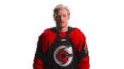 Hockey Echl Sticker by Cincinnati Cyclones